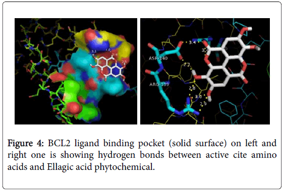 biology-medicine-ligand-binding-pocket