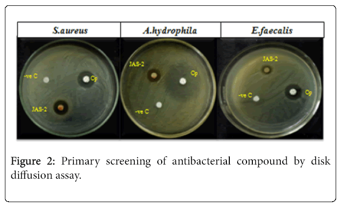 biology-medicine-primary-screening-antibacterial