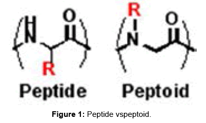biomolecular-research-therapeutics-Peptide-vspeptoid
