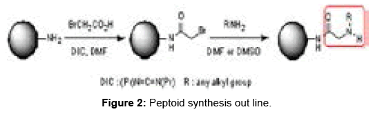 biomolecular-research-therapeutics-Peptoid-synthesis-out-line