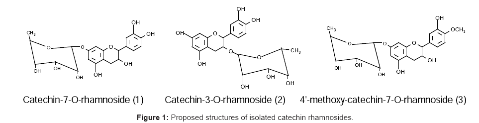 biomolecular-research-therapeutics-Proposed-structures-isolated-catechin