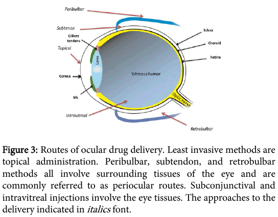 biomolecular-research-therapeutics-Routes-ocular-drug-delivery
