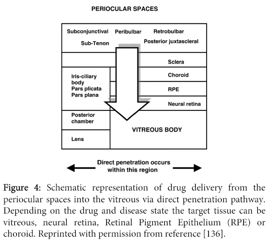 biomolecular-research-therapeutics-Schematic-representation-drug-delivery