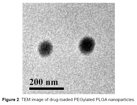 biomolecular-research-therapeutics-TEM-image-drug-loaded-PEGylated