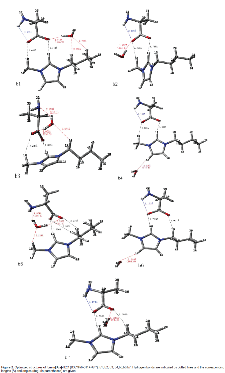 biomolecular-research-therapeutics-hydrogen-bonds