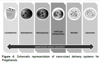 biomolecular-research-therapeutics-nano-sized-delivery