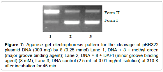 biomolecular-research-therapeutics-plasmid-DNA