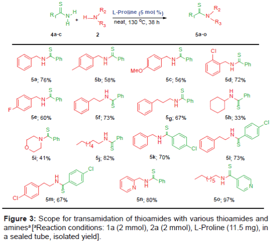 biomolecular-research-therapeutics-transamidation-thioamides