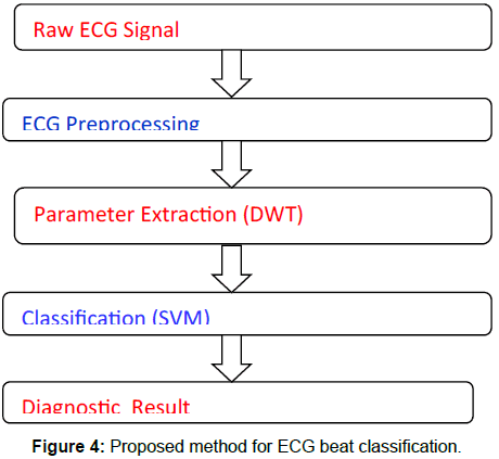 cardiovascular-pharmacology-ECG-beat-classification
