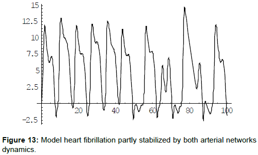 cardiovascular-pharmacology-Model-heart-fibrillation