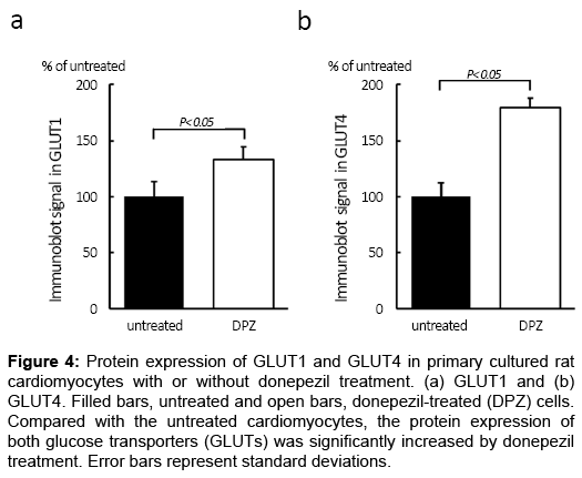 cardiovascular-pharmacology-Protein-expression-GLUT1