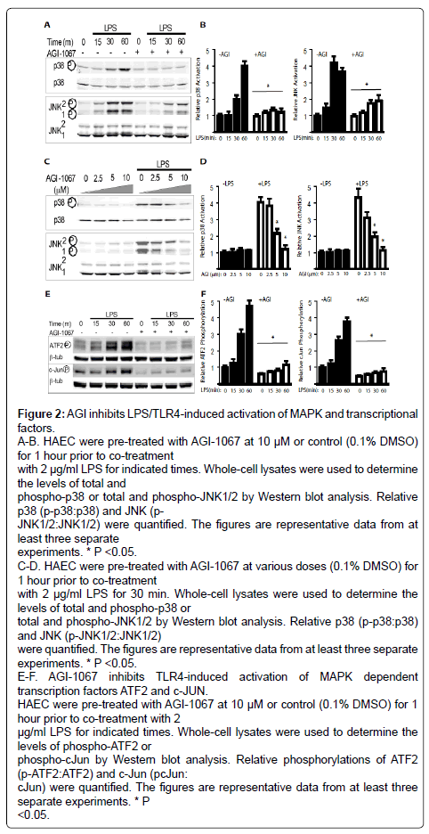 cardiovascular-pharmacology-TLR4-induced-activation