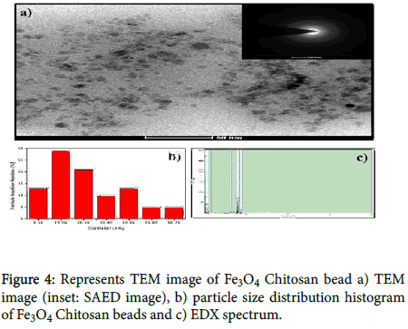 chemical-engineering-TEM-image