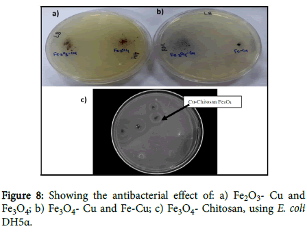 chemical-engineering-antibacterial-effect