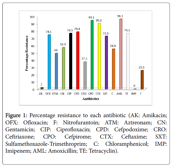Virulent Characteristics of Multidrug Resistant E. coli from Zari