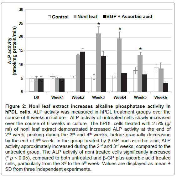 Morinda citrifolia Leaf Enhances In Vitro Osteogenic Differentiation