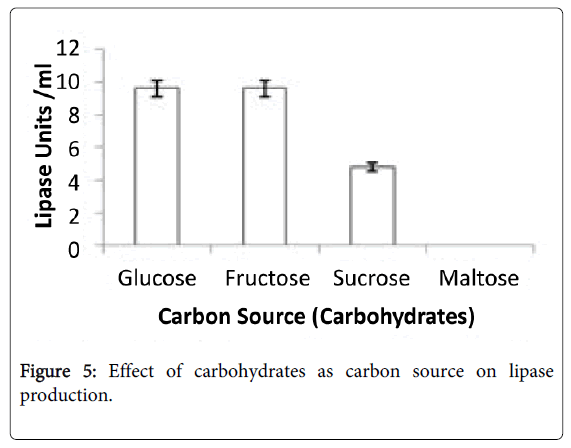 fermentation-technology-carbohydrates-carbon
