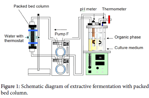fermentation-technology-extractive-fermentation