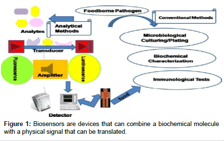 food-processing-technology-Biosensors-devices