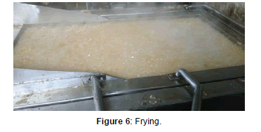food-processing-technology-Frying