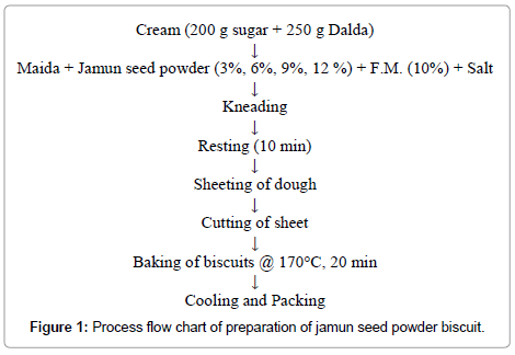 food-processing-technology-jamun-seed-powder-biscuit