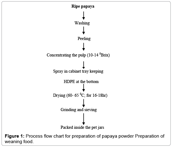 food-processing-technology-papaya-powder