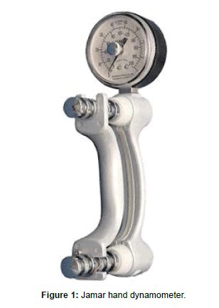 Hand Grip Dynamometry as Prognostic and Predictive Marker in Older ...