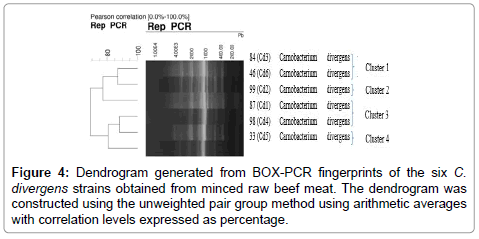 gene-technology-BOX-PCR-fingerprints