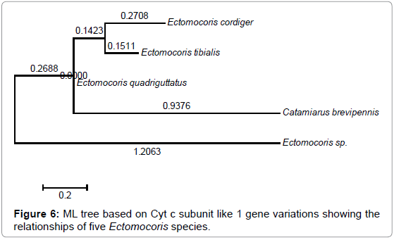 gene-technology-Cyt-subunit-species