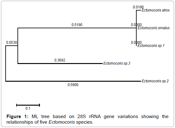 gene-technology-tree-gene-variations