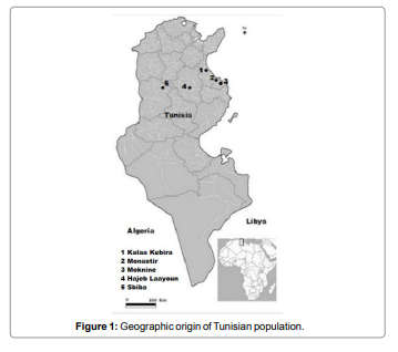 hereditary-genetics-Tunisian-population