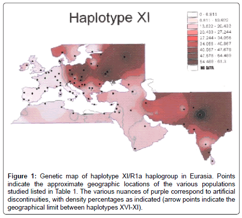 The Major Y-Chromosome Haplotype XI - Haplogroup R1a in Eurasia
