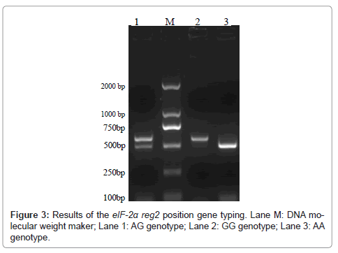 hereditary-genetics-gene-typing