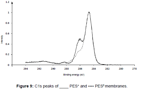 membrane-science-technology-C1-peaks-PES