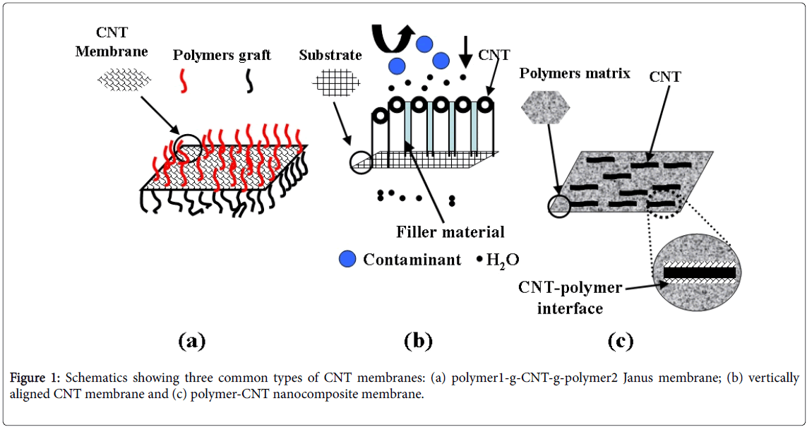 membrane-science-technology-CNT-membranes