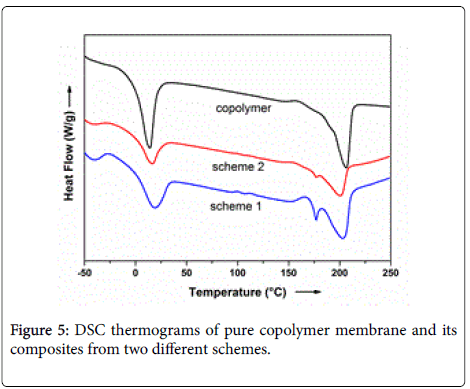 membrane-science-technology-DSC-thermograms
