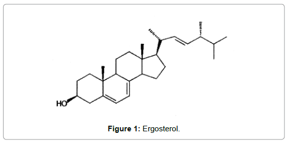membrane-science-technology-Ergosterol
