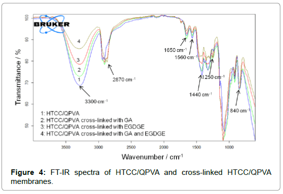 membrane-science-technology-FT-IR-spectra