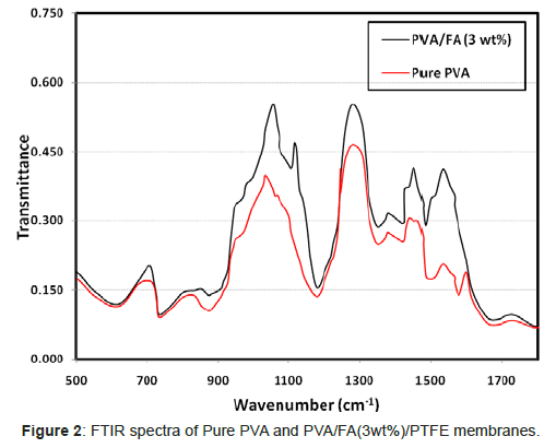 membrane-science-technology-FTIR-spectra-Pure-PVA