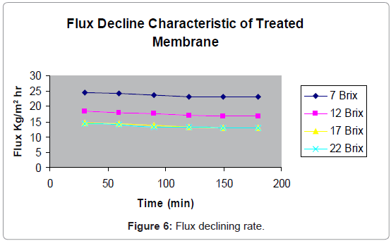 membrane-science-technology-Flux-declining