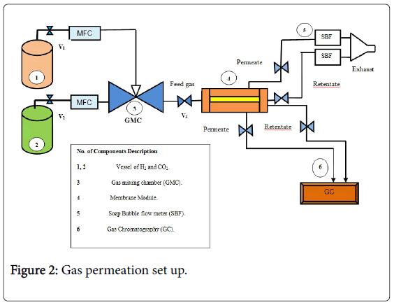 membrane-science-technology-Gas-permeation-set-up