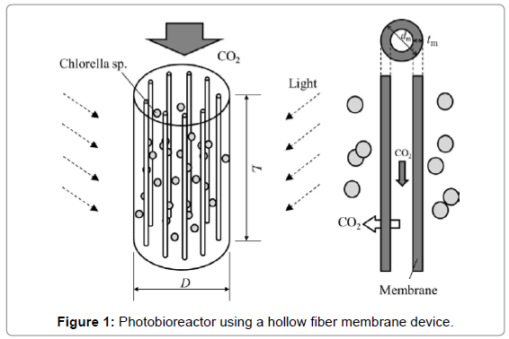 membrane-science-technology-Photobioreactor-using