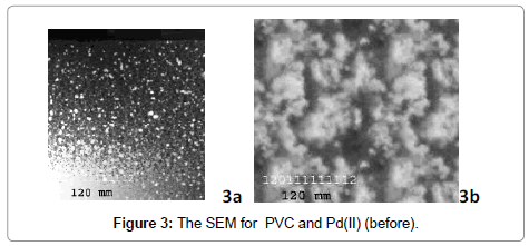 membrane-science-technology-SEM-for-PVC