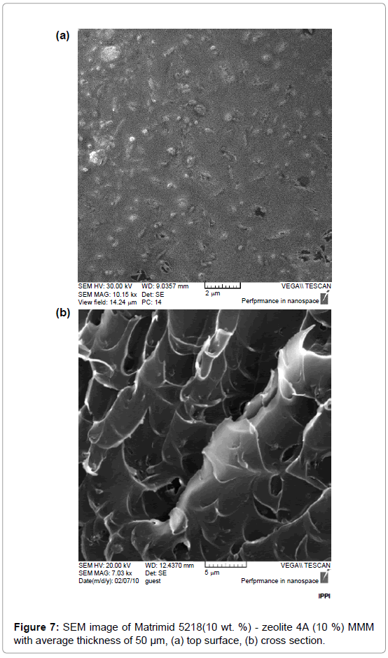 membrane-science-technology-SEM-image