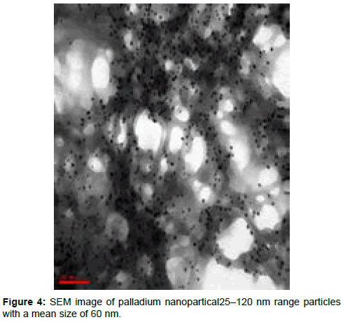 membrane-science-technology-SEM-image-palladium-nanopartical