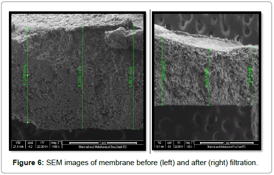 membrane-science-technology-SEM-images