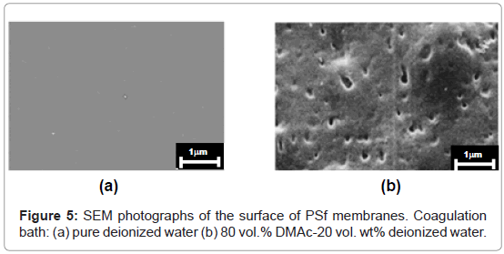 membrane-science-technology-SEM-photographs