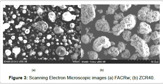 membrane-science-technology-Scanning-Electron