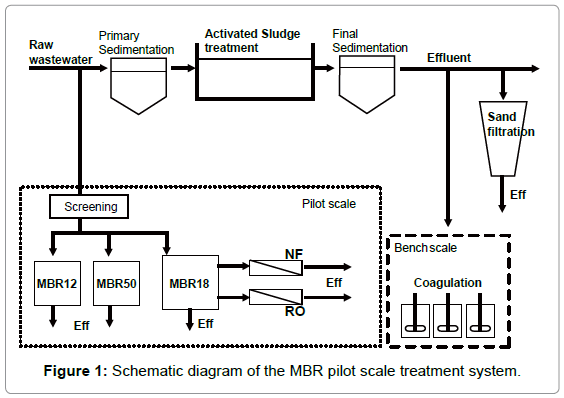 membrane-science-technology-Schematic-diagram