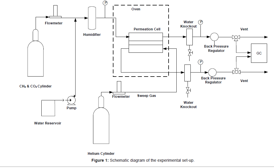membrane-science-technology-Schematic-diagram-experimental-set-up